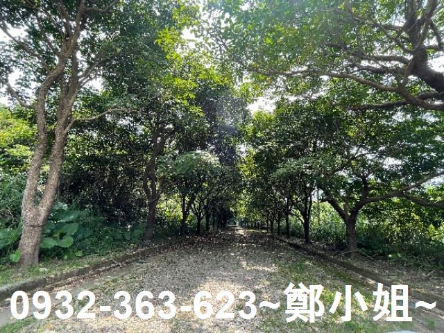 大溪農地-4