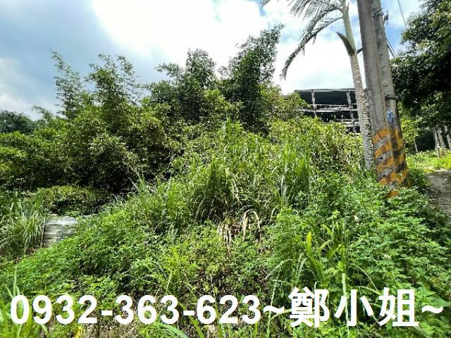 大溪農地-5
