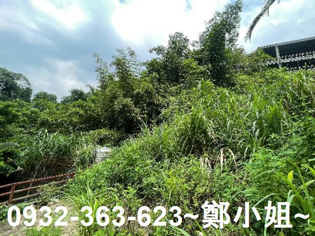 大溪農地-6