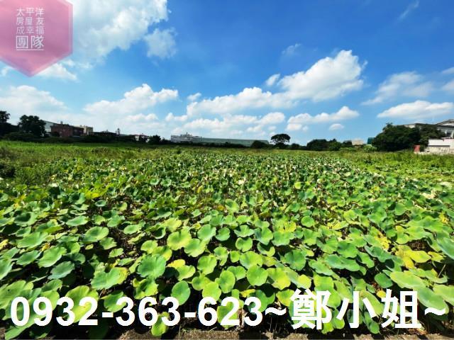 桃園農地-2