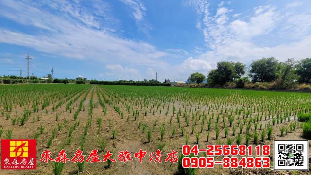 外埔農地-1