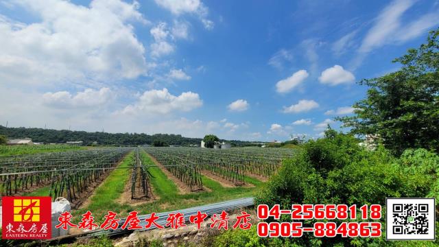 外埔農地-8
