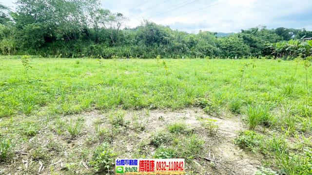 新竹關西農地-11