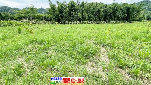 新竹關西農地-12