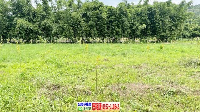 新竹關西農地-13