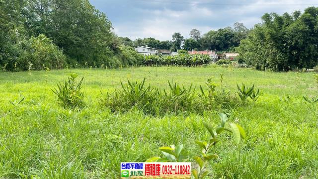 新竹關西農地-1
