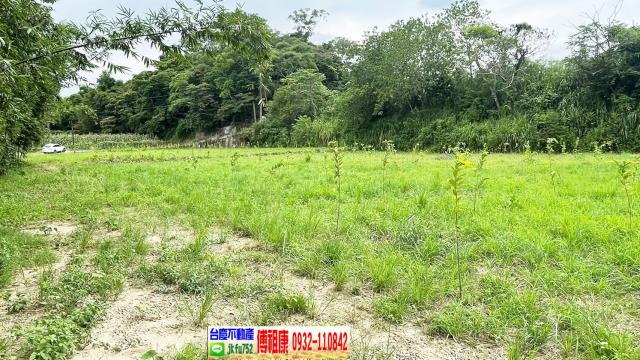 新竹關西農地-5