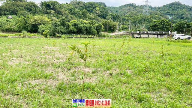 新竹關西農地-8