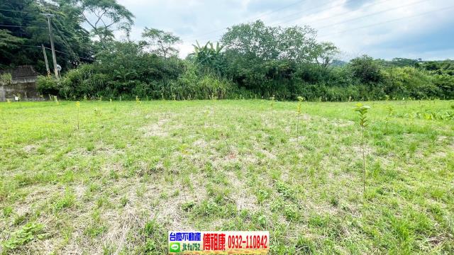 新竹關西農地-9