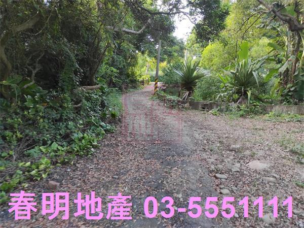 新埔農地-3