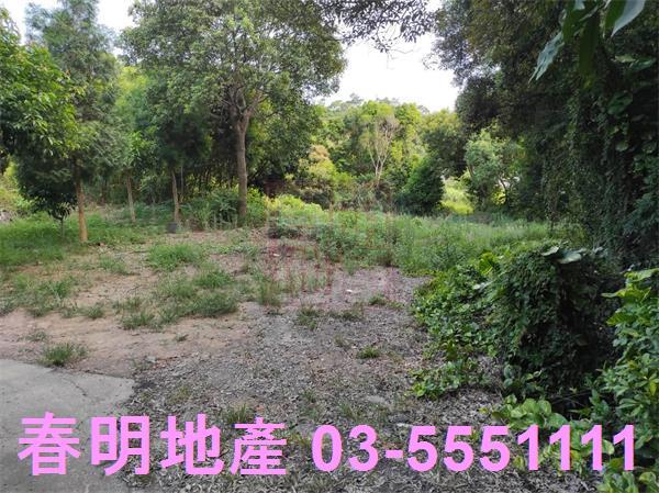 新埔農地-4