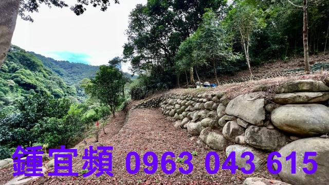 芎林農地-8