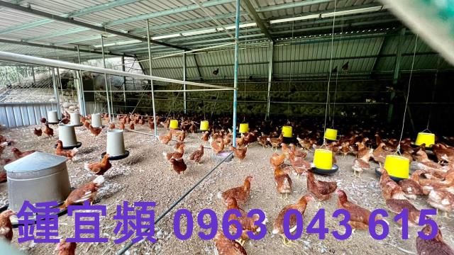 芎林農地-13