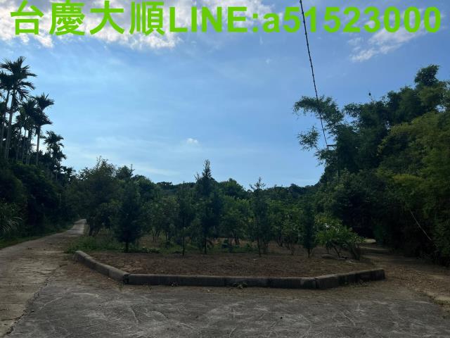 新竹新埔農地-1