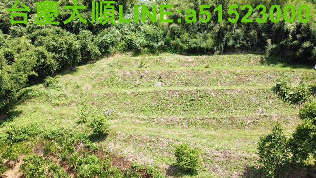 新竹農地-11