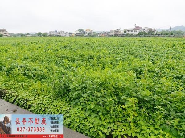 苗栗市農地-1