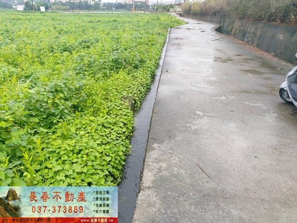 苗栗市農地-6