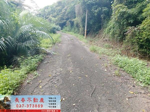 頭屋農地-3