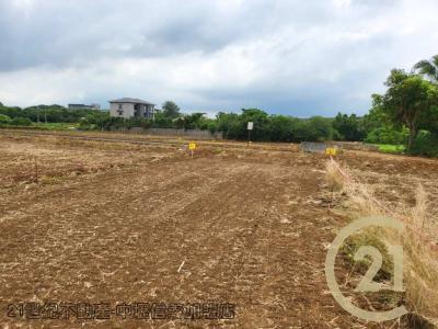 桃園平鎮農地-13