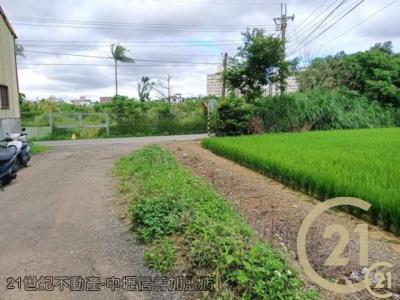 桃園平鎮農地-6