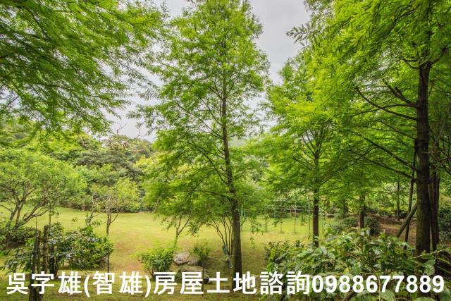 台北農地-10
