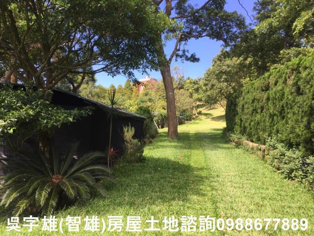 台北農地-4