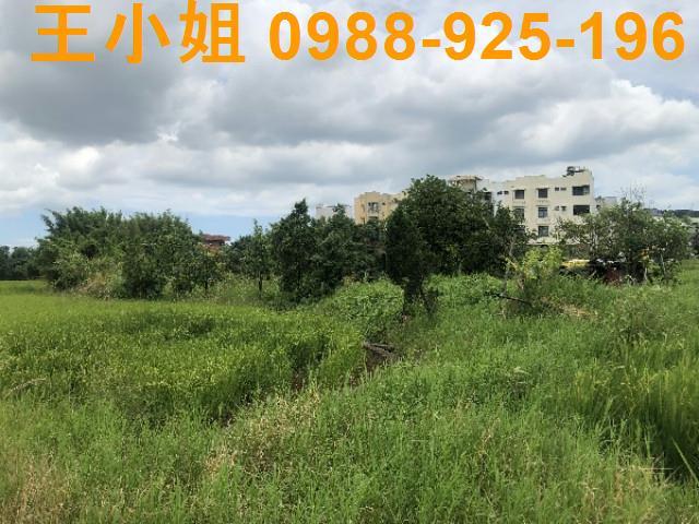 桃園蘆竹農地-10