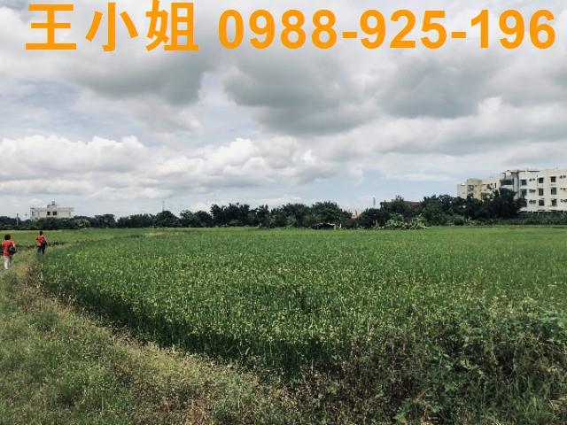 桃園蘆竹農地-11