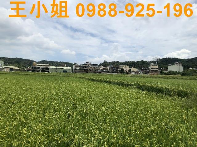 桃園蘆竹農地-12