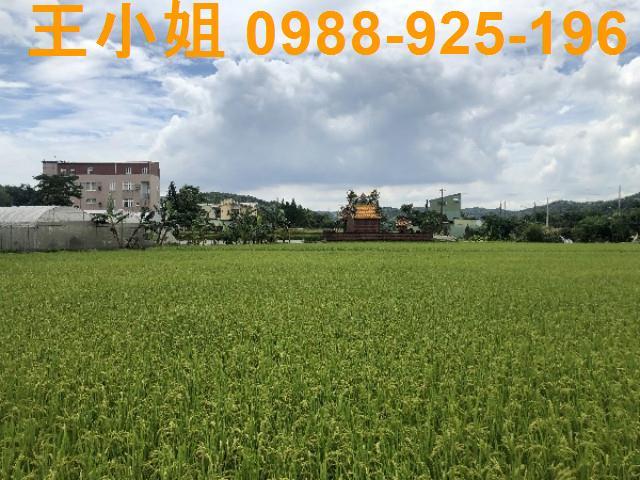 桃園蘆竹農地-13