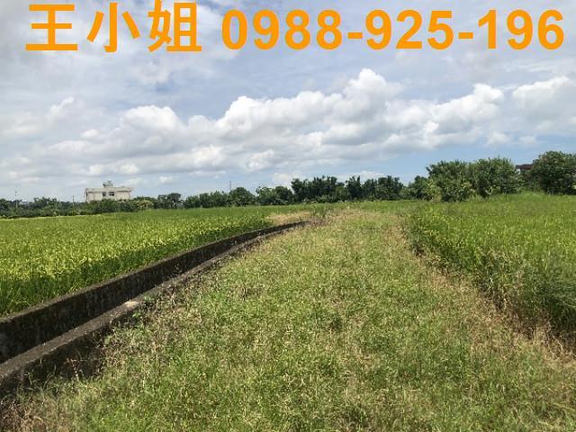 桃園蘆竹農地-5