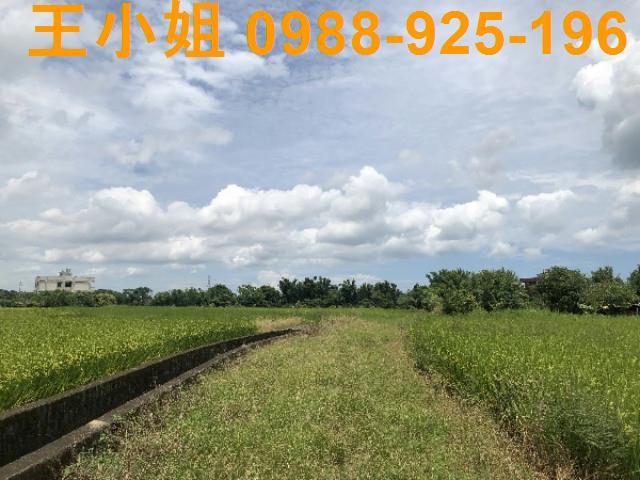 桃園蘆竹農地-6