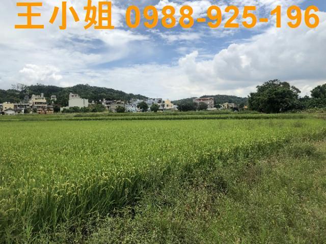 桃園蘆竹農地-7