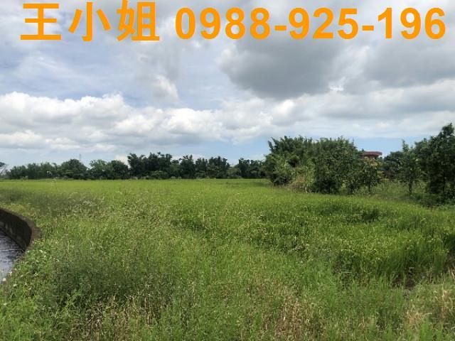 桃園蘆竹農地-9