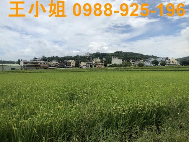 桃園蘆竹農地-10