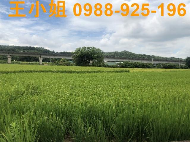 桃園蘆竹農地-11