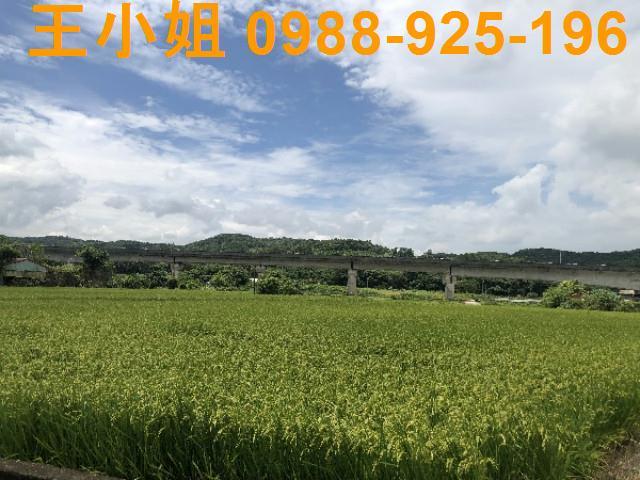 桃園蘆竹農地-12
