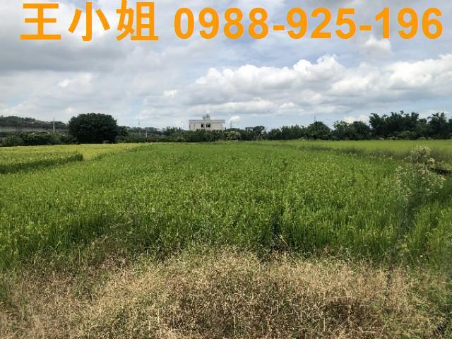 桃園蘆竹農地-13