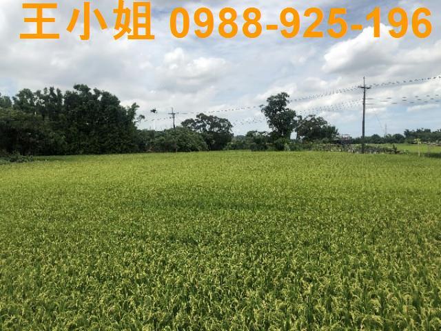 桃園蘆竹農地-14
