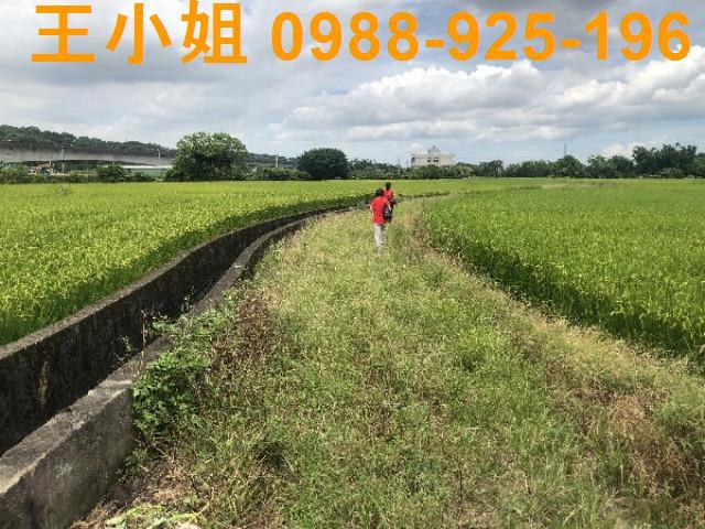 桃園蘆竹農地-4