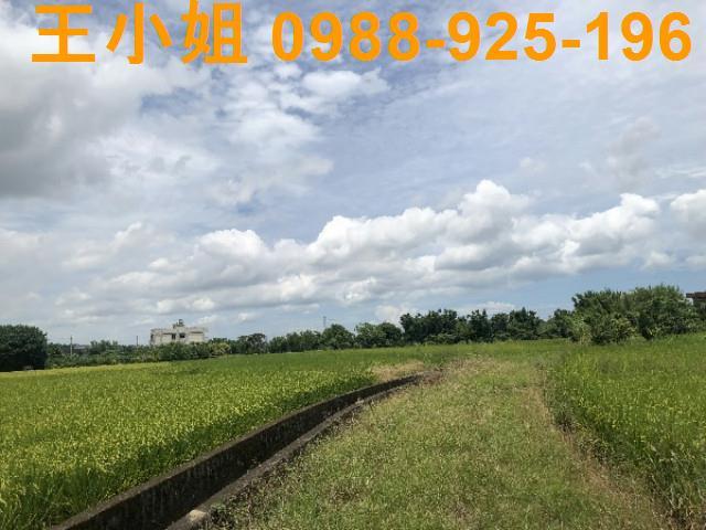 桃園蘆竹農地-5