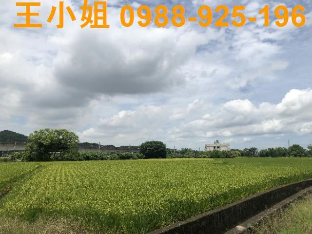 桃園蘆竹農地-7