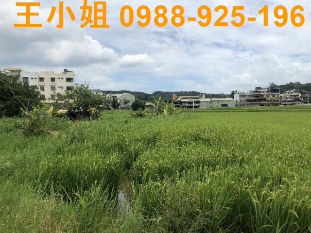 桃園蘆竹農地-8