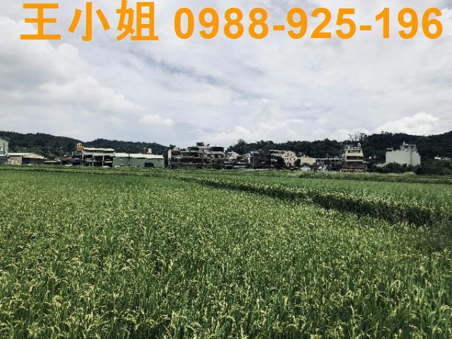 桃園蘆竹農地-9