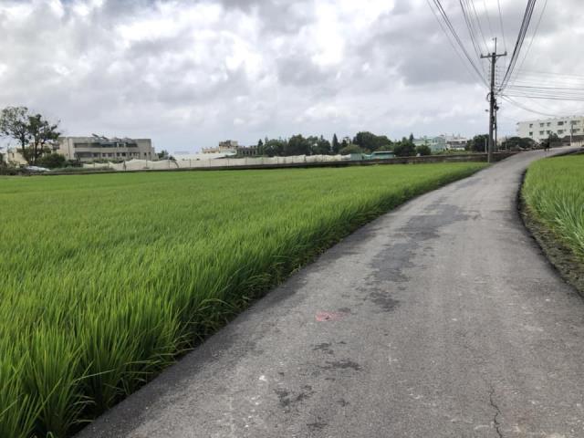 台中西屯農地-1