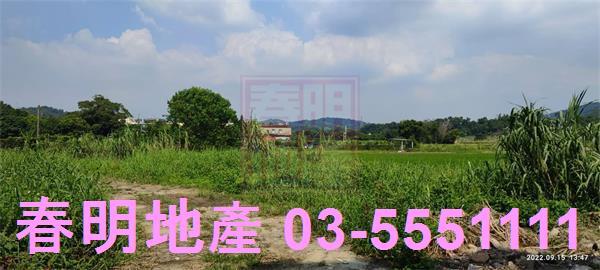 新埔農地-11