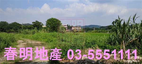 新埔農地-5