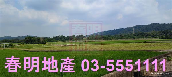 新埔農地-8