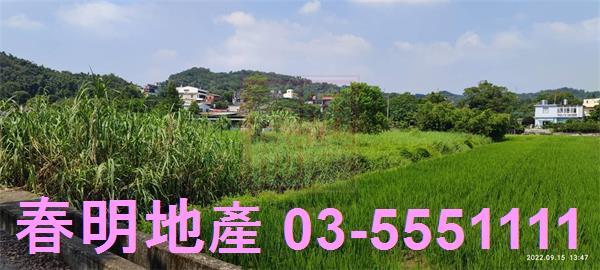 新埔農地-9