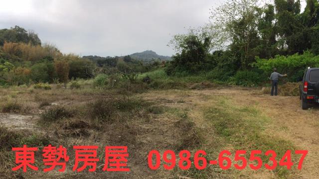 東勢農地-14